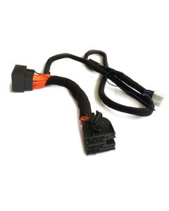 N-A480DSP-ISO55 A5xxDSP P&P Kabel für Citroen C4 Picasso